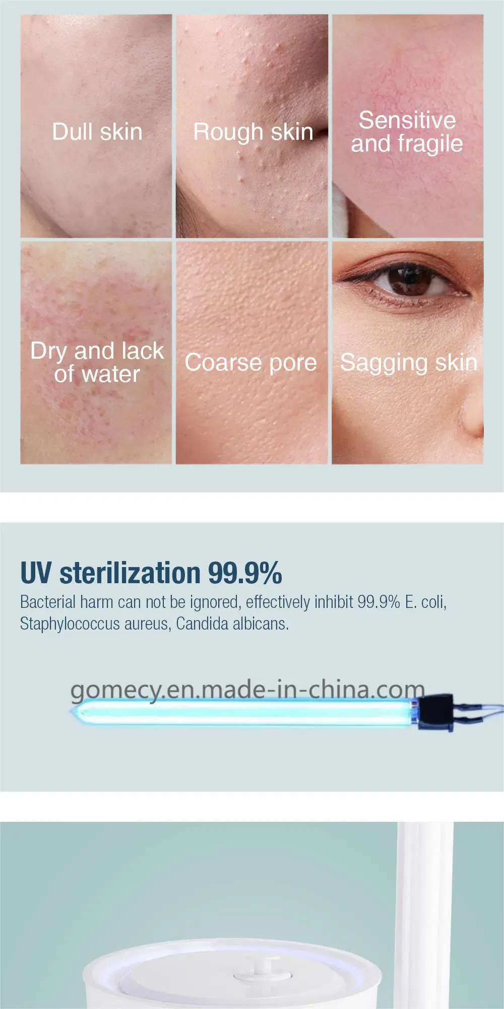 Gms Hot Sales Beauty Salon Vapor Ozone Facial Steam Machine for Face Facial Steamer Aromatherapy