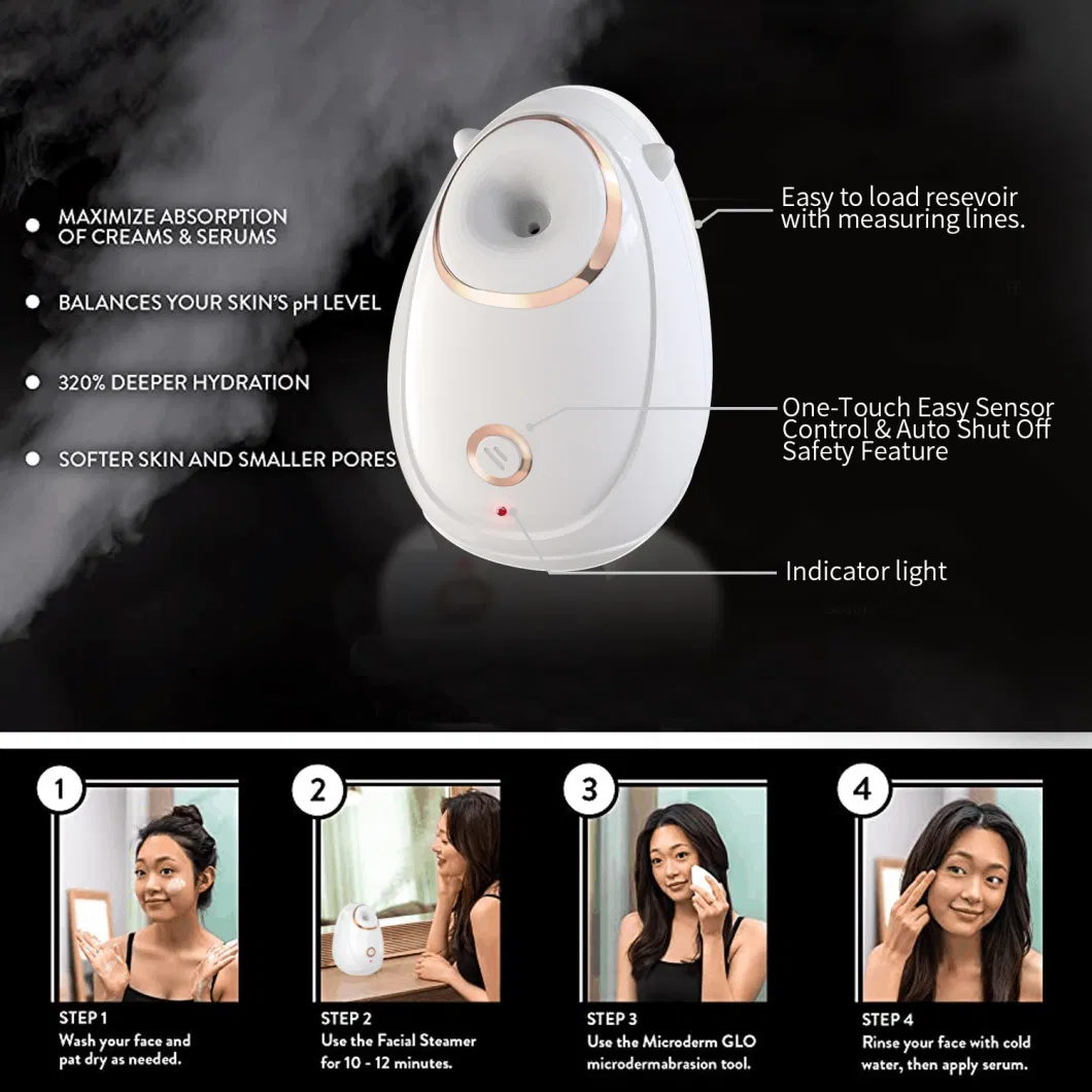 Beauty Products Handheld Nano Face Spray Electric Facial Steamer