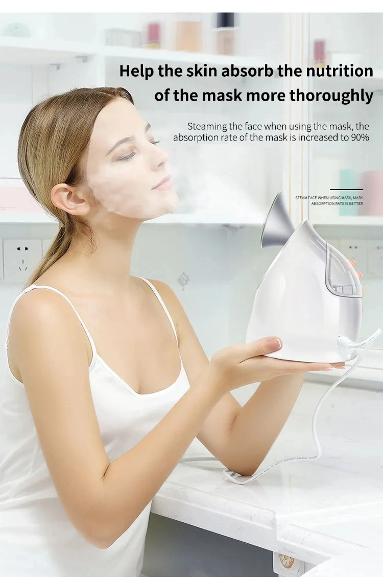 Professional Portable Home Use Warm Nano Mist SPA Care Appliance Face Set Humidifier Beauty Oxygen Injector Facial Steamer