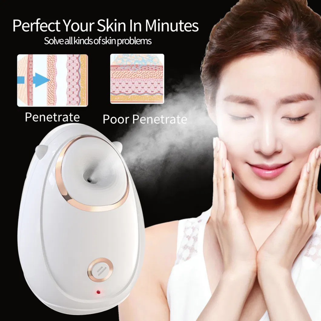 Wholesale Factory Hot SPA Professional Nano Ionic Mini Face Facial Steamer