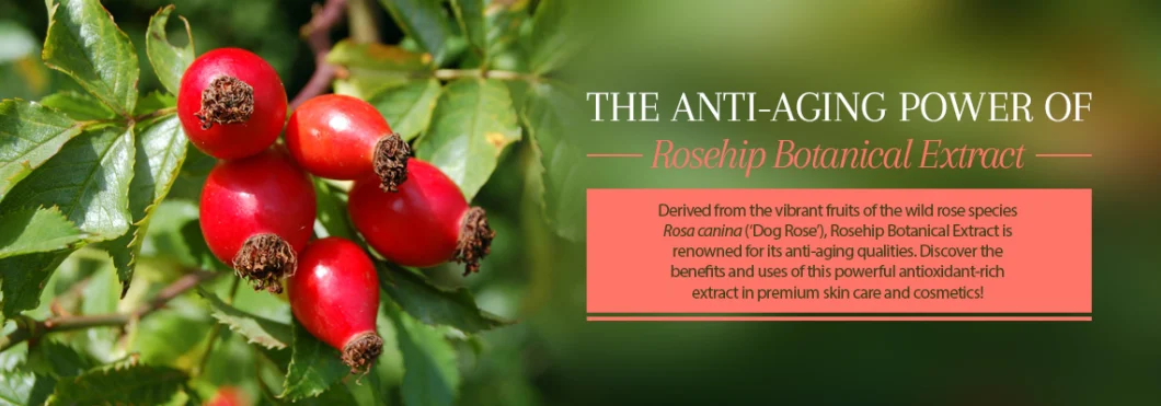 Skin Care Anti Aging Acne Natural Cold Press Rosehip Essential Oil Organic Rosehip Oil