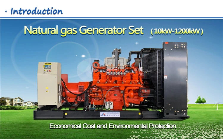 2MW Natural Gas Generator 3phase Biogas Good Price Engine Parallel Connection Grid