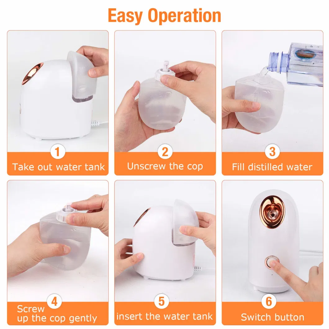 Portable Mini Custom Ionic 150ml Nano Mist Sprayer Ozone Professional Machine SPA Face Facial Steamer