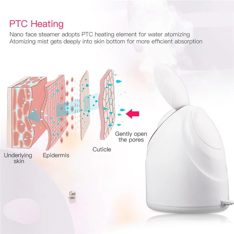 Home Face Steamer Vaporizer Vapor Professional Ionic Facial Steamer SPA