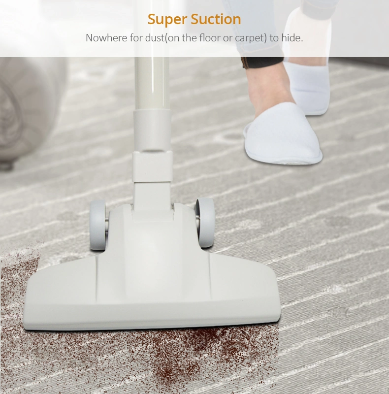 Wireless Multifunctional Vertical Vacuum Cleaner