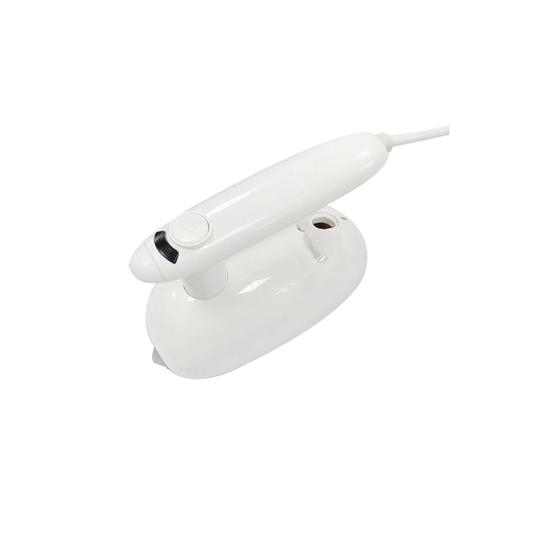 Mini Handheld Garment Steamer Lightweight Steamer Hanging Ironing Machine for Clothes Garment