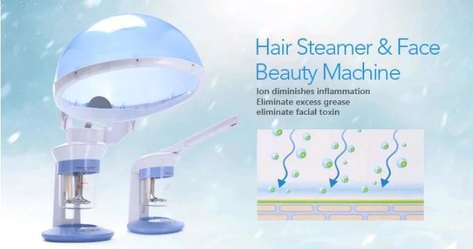 Professional Table Hair Steamers Hairdressing Machine Hair Steamer Cap