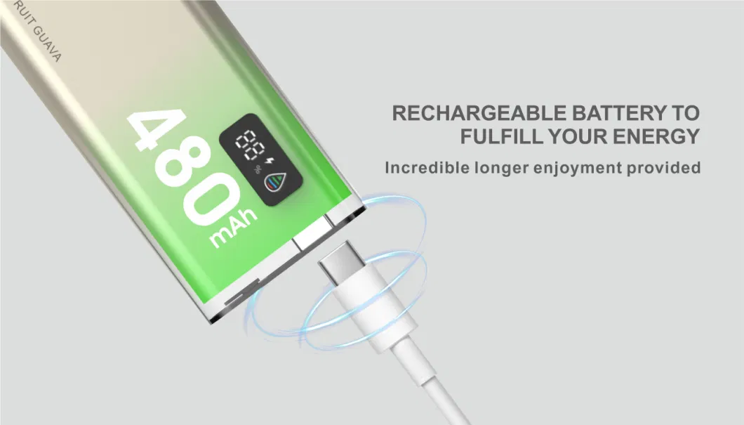Origina 480mAh Rechargeable Battery Mesh Coil USB Cable Vapes Digital Display Portable E Cigarette Vaporizer