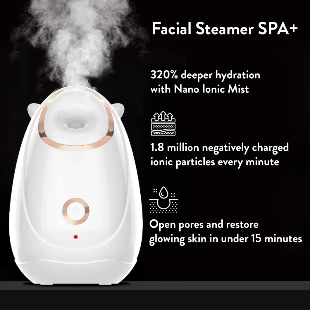 Wholesale Mist Professional Portable Electric SPA Multifunction Machine Nano Personal Face Steamer Facial