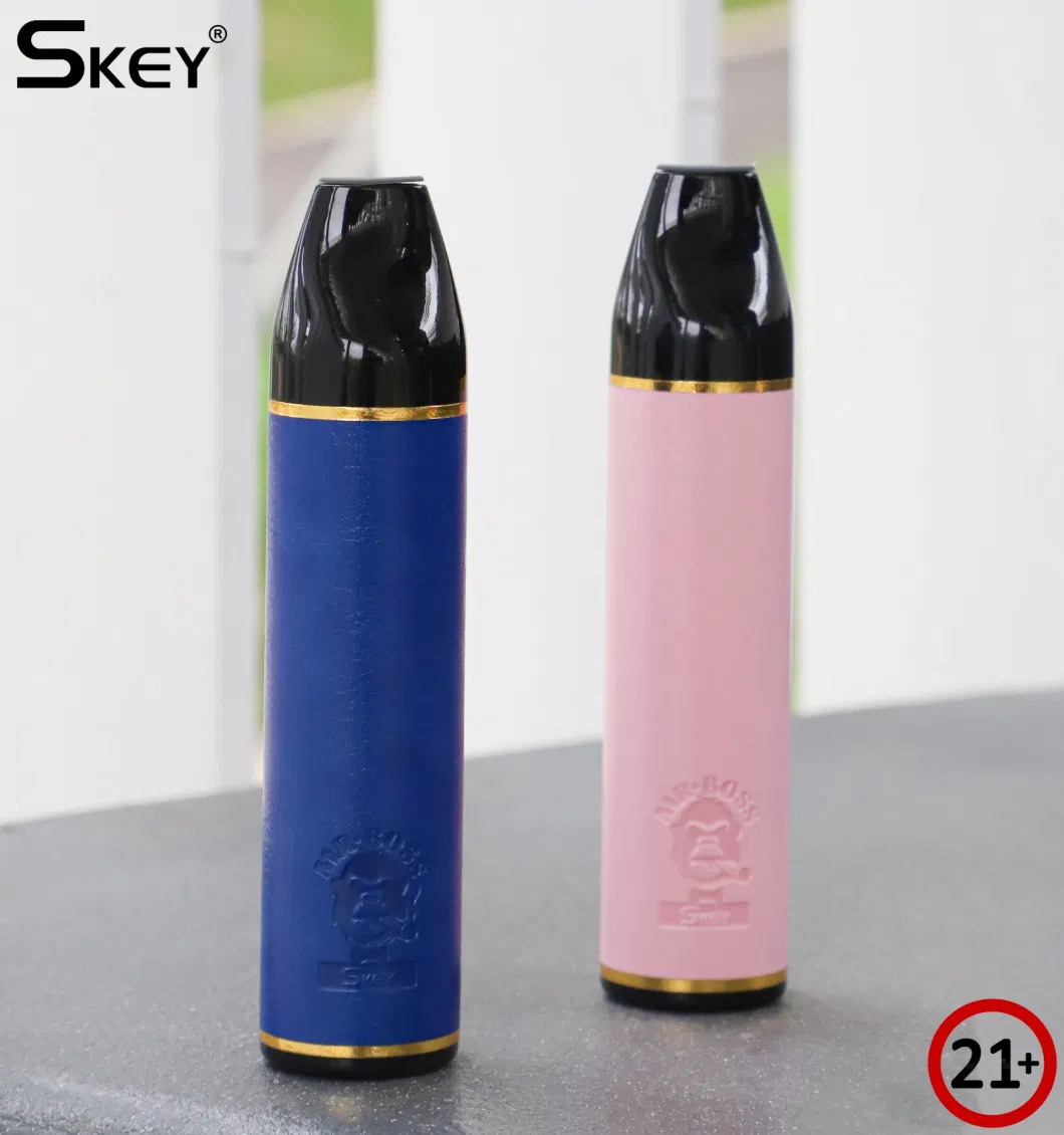 New E Cigarette Skey Ismart 10000 Puffs 0/2/5% Nic Salt Built-in Smart Display Disposable Vape Wholesale I Vape