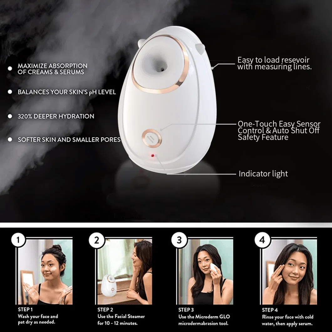 Wholesale Mist Professional Portable Electric SPA Multifunction Machine Nano Personal Face Steamer Facial