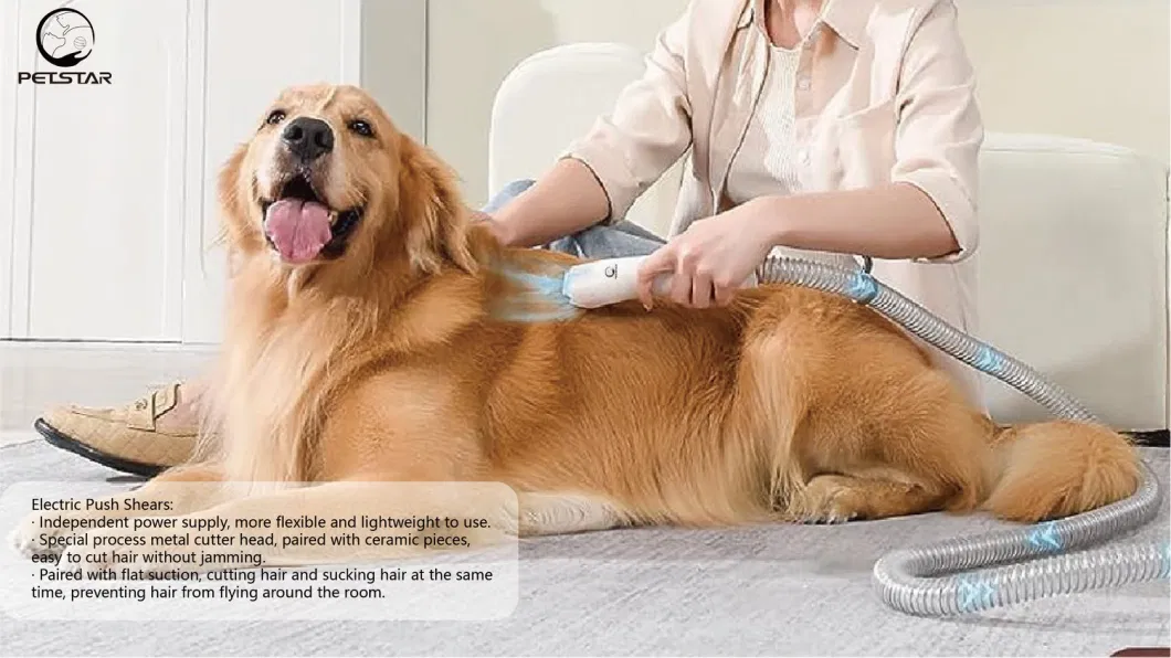 Pet Grooming Electric Pet Hair Suction Device Portable Cats and Dogs Massage Clean Vacuum Cleaner