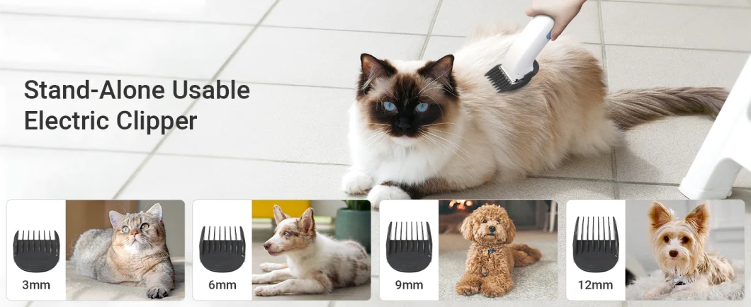 10kpa Electric Dog Cat Pet Hair Remover &Clipper Multifunctional Vacuum Cleaner with Grooming Tool Kits