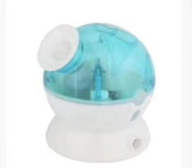 Warm Nano Mist Facial Steamer Skin Moisture Ionic Facial Steamer