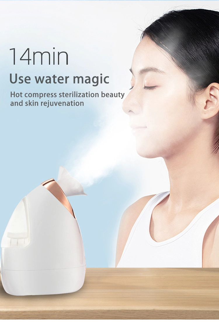 Face Steamer Machine Vaporizer Ionic Hot Cold Skin Care Nano Mist Facial Steamer Nano Spray Oil Facial Steamer Ionic
