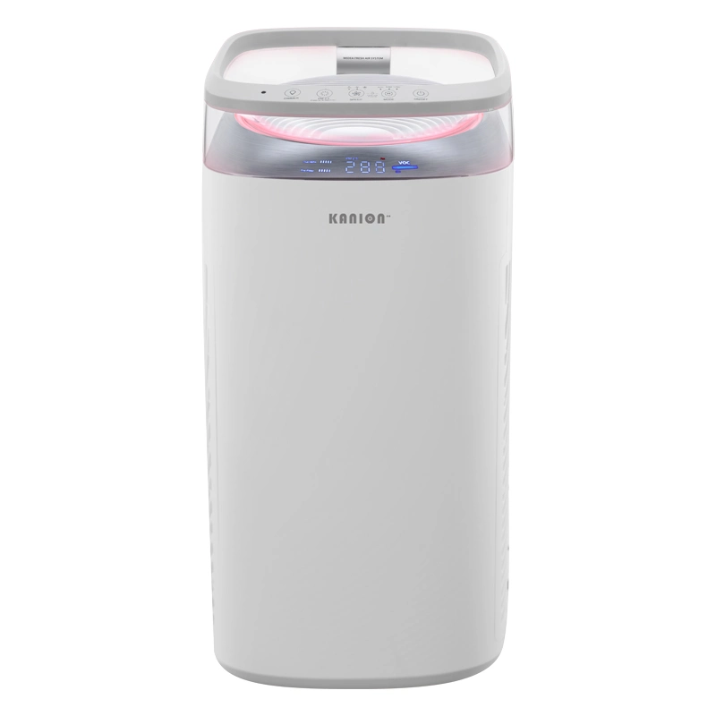 2020 Portable Air Purifier Home OEM