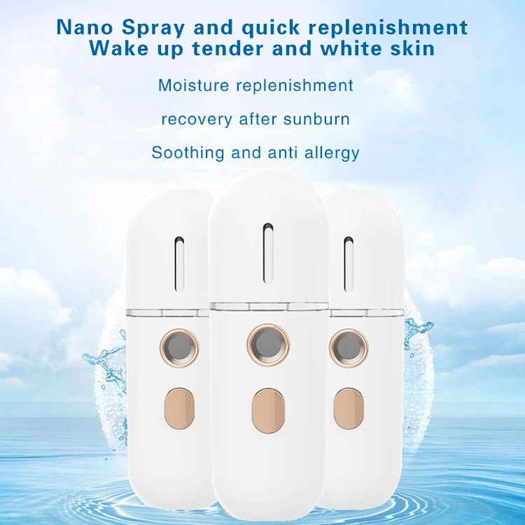 Hot Sale Use Face Portable Mini SPA Facial Steamer