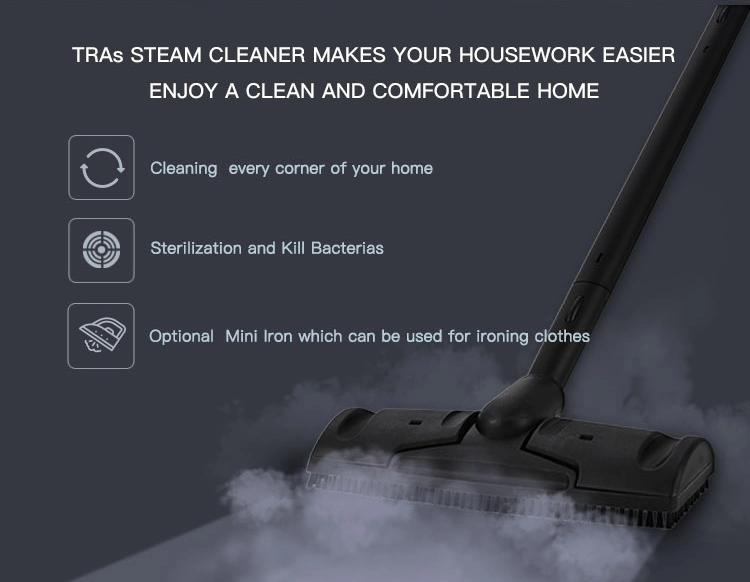 Multifunction Steam Carpet Cleaner for Sofa/Curtain/ / Car Washing