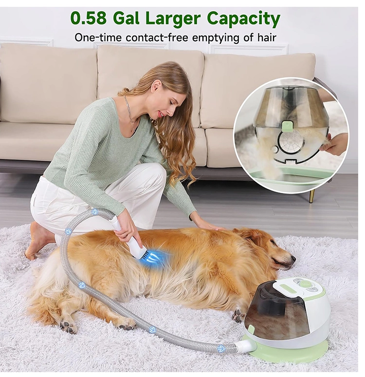 Steam Mop Steam Cleaners for Floor Carpet Window Clothes Kitchen Bathroom with CE