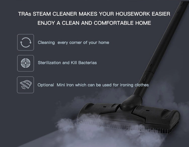 Comercial Sofa High Pressure Steam Cleaner for Car