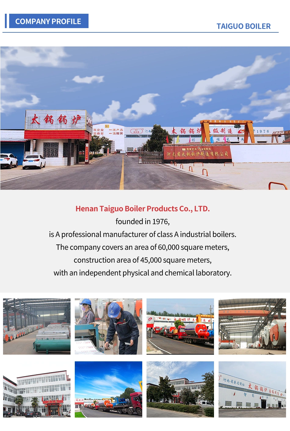 Horizontal Industrial Wns Series 1 2 3 4 6 8 10 15 20 Ton Boiler Oil Gas Fired LNG Steam Boiler Price