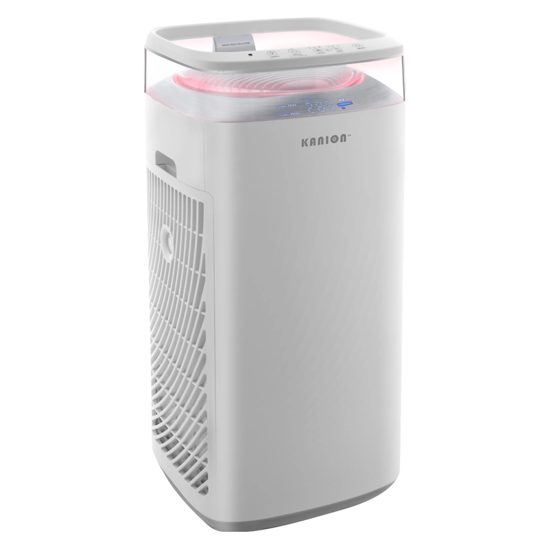 2020 Portable Air Purifier Home OEM