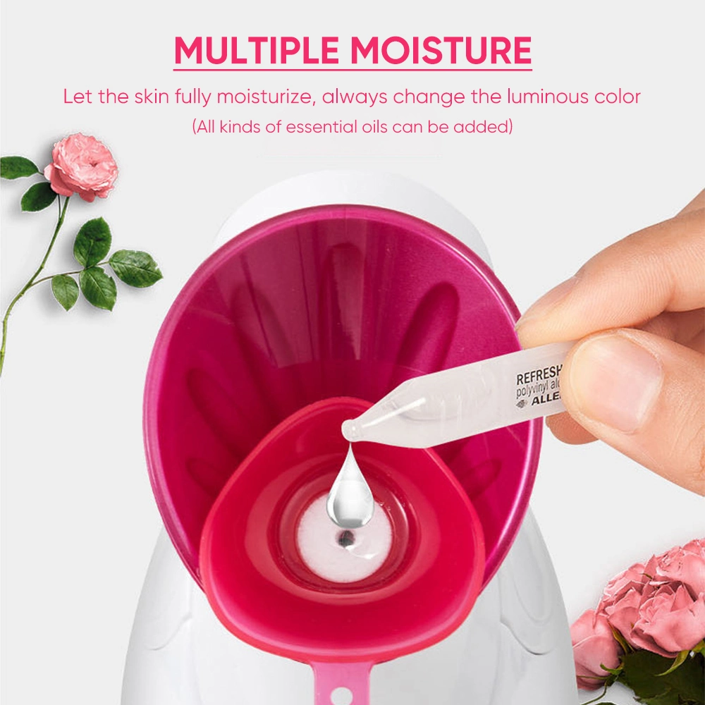 Portable Plastic Facial Steamer SPA Warm Mist Hot Facial Steamer