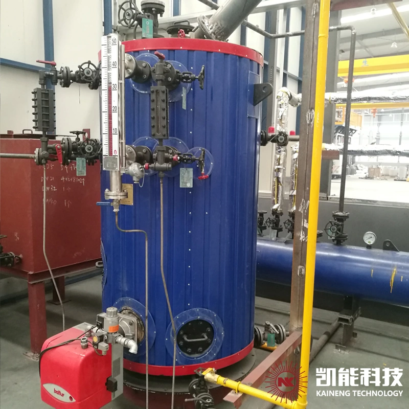 Factort Supply Wns 1 Ton 2 Ton 4 Ton Gas Fired Steam Boiler