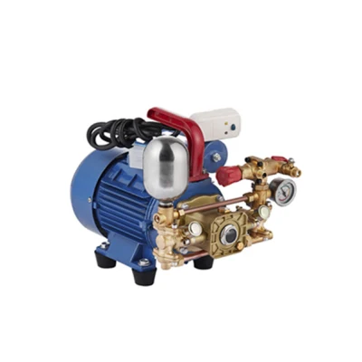 Portable Agricultural Electric Spray with 220V High-Pressure Double Cylinder Plunger Pump