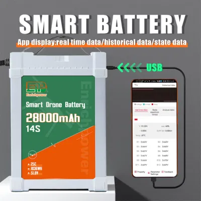 Rechargeable Smart BMS 14s Lipo 51.8V Battery 28000mAh for Agriculture Drone