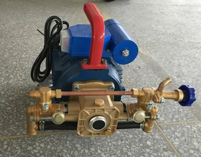 Portable Agricultural Electric Spray with 220V High-Pressure Double Cylinder Plunger Pump