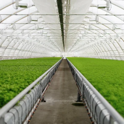 Iot in Greenhouse Agriculture/Internet of Things/Intelligent Controller/Wireless Iot System/Cargo Tracking System
