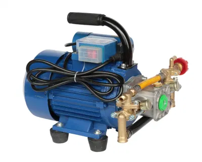 Portable Agricultural Electric Spray with 220V High-Pressure Double Cylinder Plunger Pump
