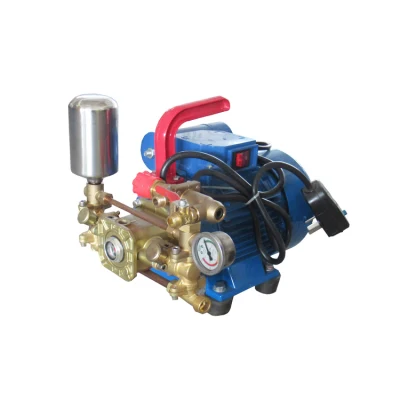 Portable Agricultural Electric Spray with 220V High-Pressure Double Cylinder Plunger Pump