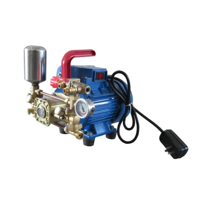 Portable Agricultural Electric Spray with 220V High-Pressure Double Cylinder Plunger Pump