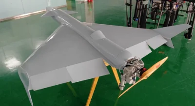 Big Drone Proveedor Drones de largo alcance Drone grande VTOL Drone Sistemas aéreos no tripulados Control remoto Drones Tactical Drone