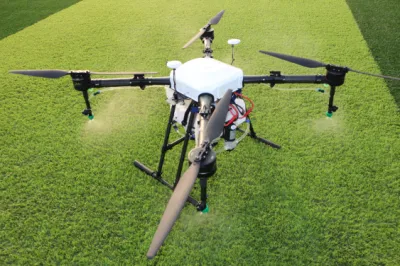 10L helicóptero de control remoto de la pulverizadora de Drone Agrícola seis coronas de rotor Rociado de plaguicidas Drones 10kg