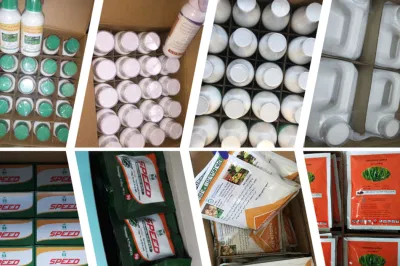 Agroquímicos Thiodiazole fungicidas plaguicidas cobre 18% + 2% Kasugamycin Sc fuerte de conductividad de control de enfermedades sistémicas