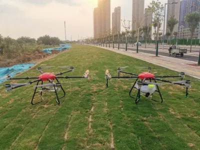 30L de las bombas de alimentación de la máquina agrícola pulverizadores Pulverizador eléctrico de la batería de plaguicidas de la bomba teledirigido para la Agricultura