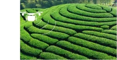 Sprayering fabricantes OEM personalizar el cultivo de la pulverizadora de plaguicidas Drone/pulverizaciones Drone de potencia 5L cultivo remoto plaguicida