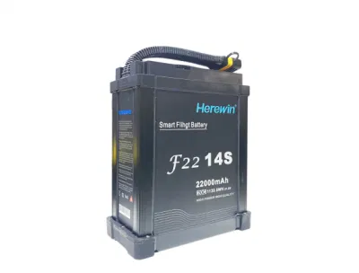 Herewin 14s 22000mAh batería de UAV de protección de plantas agrícolas Drone para la Agricultura
