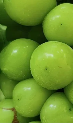 Multifunción Autónomo Vineyard Mist batería pulverizador nebulizador máquina de niebla Agricultura no tripulada Pulverizador de drones