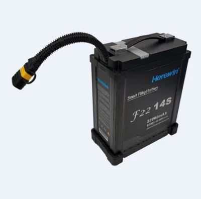 Herewin 14s 22000mAh batería de UAV de protección de plantas agrícolas Drone para la Agricultura