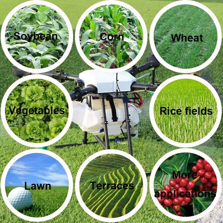 10 Liter Crops Pesticides Sprayer Dusting Uav Agricultural Sprayer Drone Water-Proof GPS RC Control Plane for Farming