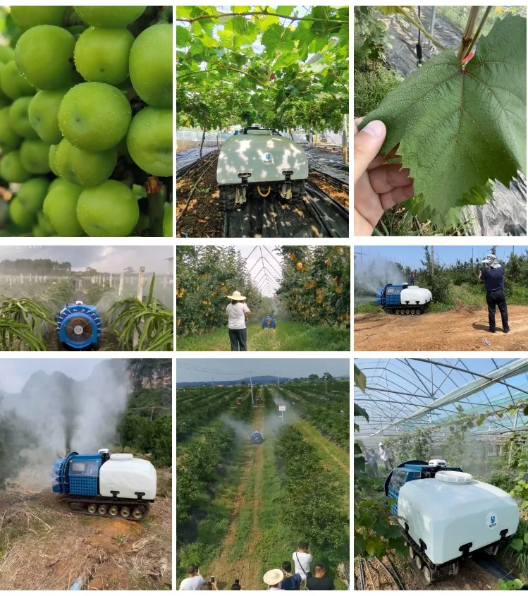 Multifunction Autonomous Vineyard Mist Battery Sprayer Fogging Machine Unmanned Agriculture Drone Sprayer