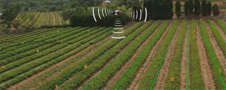 52L Agricola Pesticide Crop Spraying Agricultural Machinery Drones Pulverizadores Uav 60kg Payload Fertilizer Seed Spray Dron PARA Fumigar RC Agriculture Drone