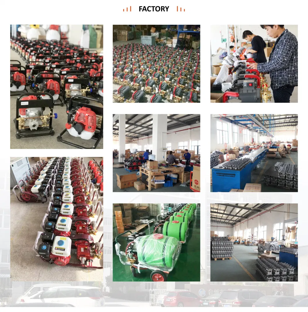 Gasoline Engine Power Pump for Agricultural Spraying