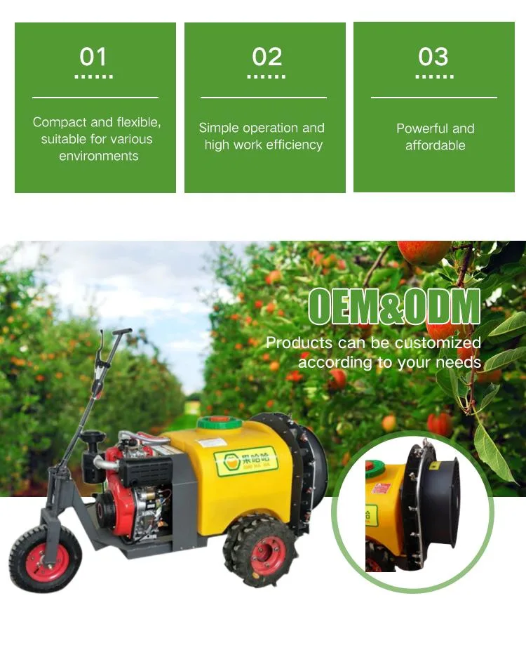 Farm Sprayer Mist Blower Sprayer Agriculture Drone Gasoline