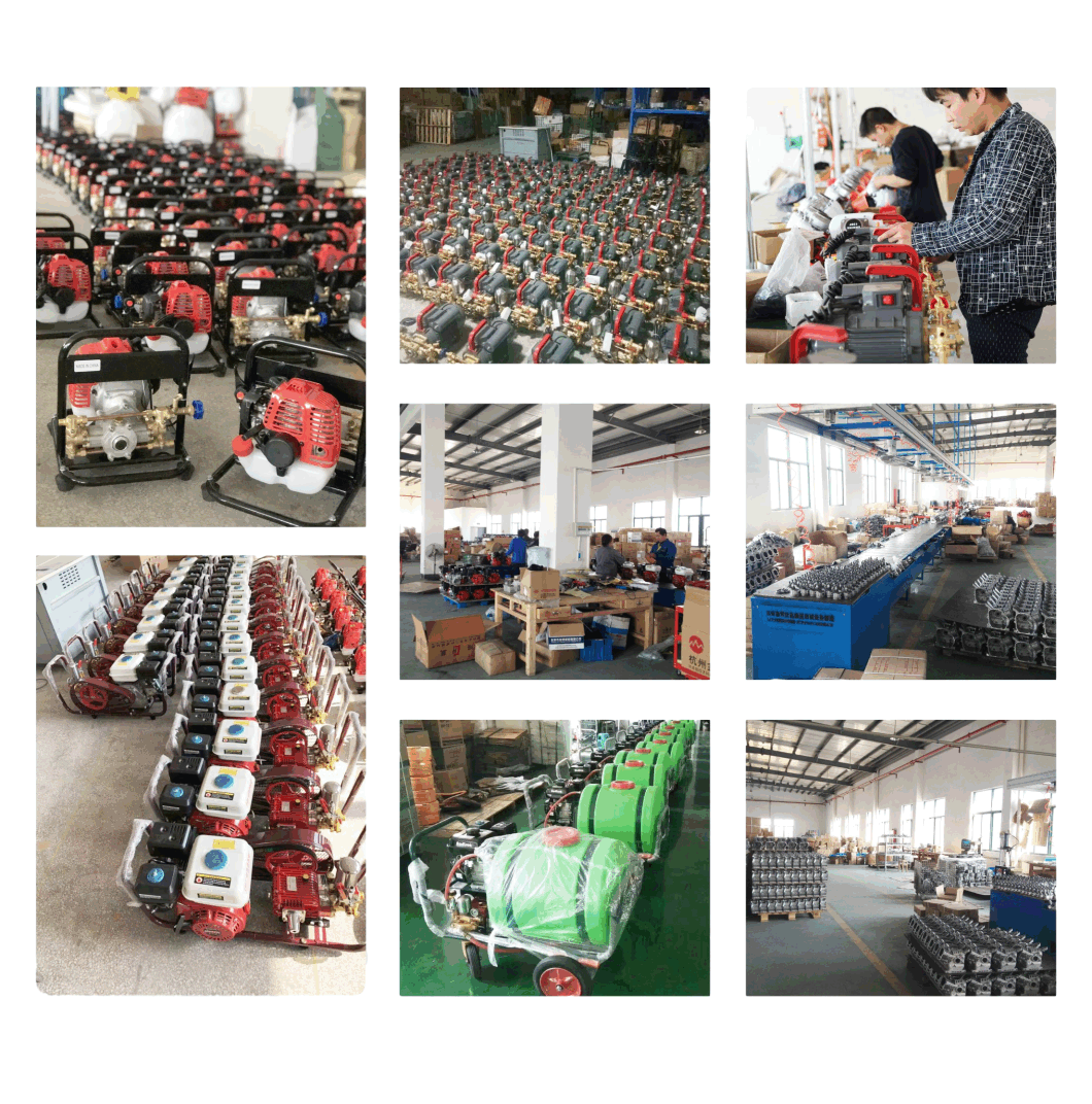 Agricultural Pesticide Pump for Effective Pest Control