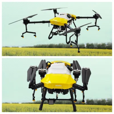 Fornitore di droni agricoli 10/16/30/40 Liter Payload Agro GPS/RTK Crop Spray Droni riso Fumigar Agricoltura spruzzatura UAV Sprayer Drone